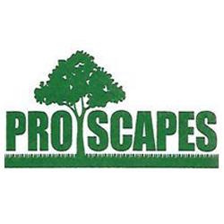 Pro Scapes LLC