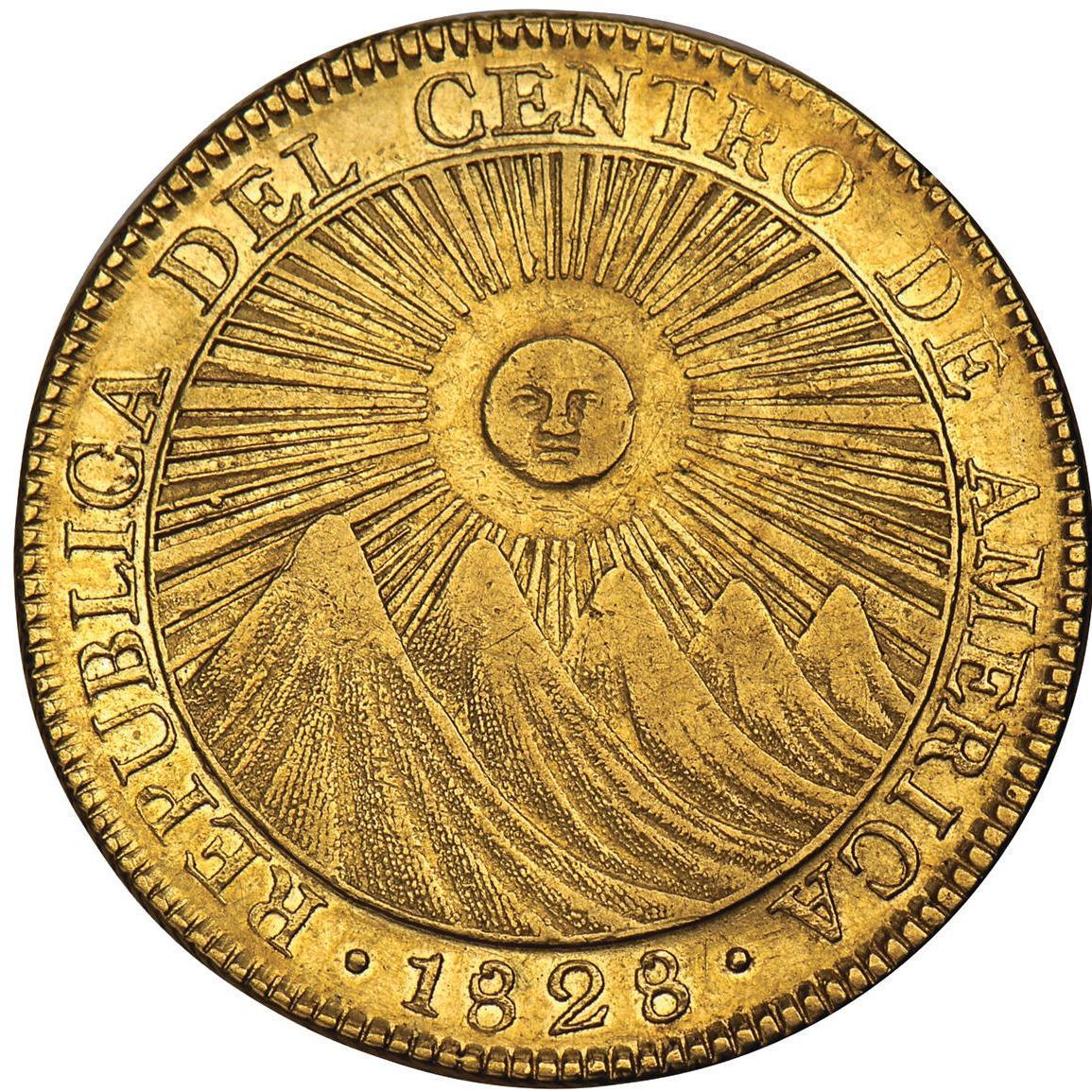 William S Panitch Rare Coins