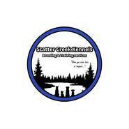 Scatter Creek Kennels & Training Services