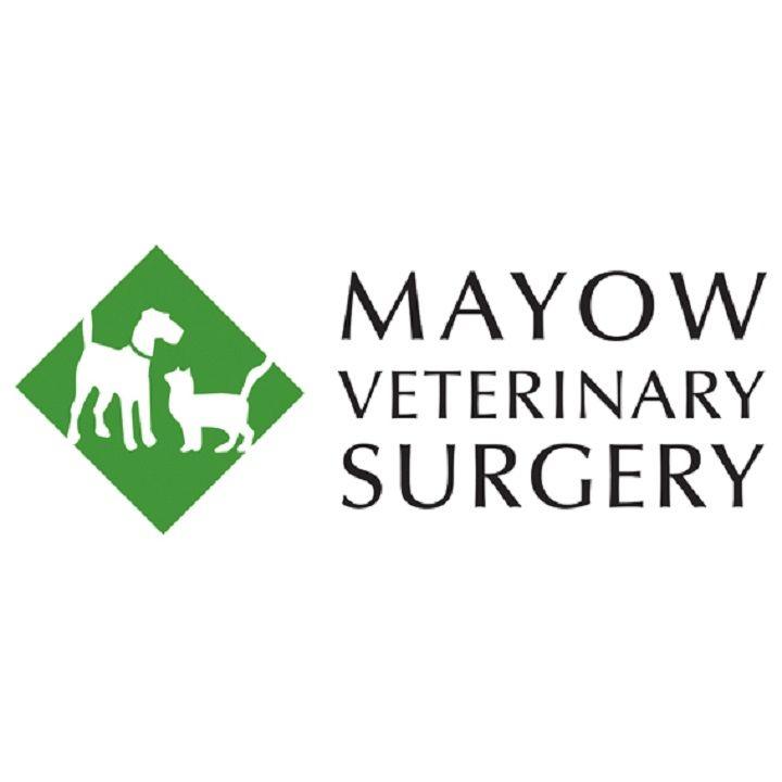 Mayow Veterinary Surgery