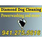 Diamond Dog Pressure Cleaning