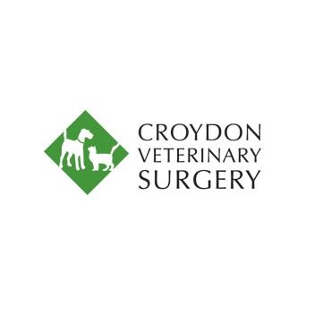 Croydon Veterinary Surgery