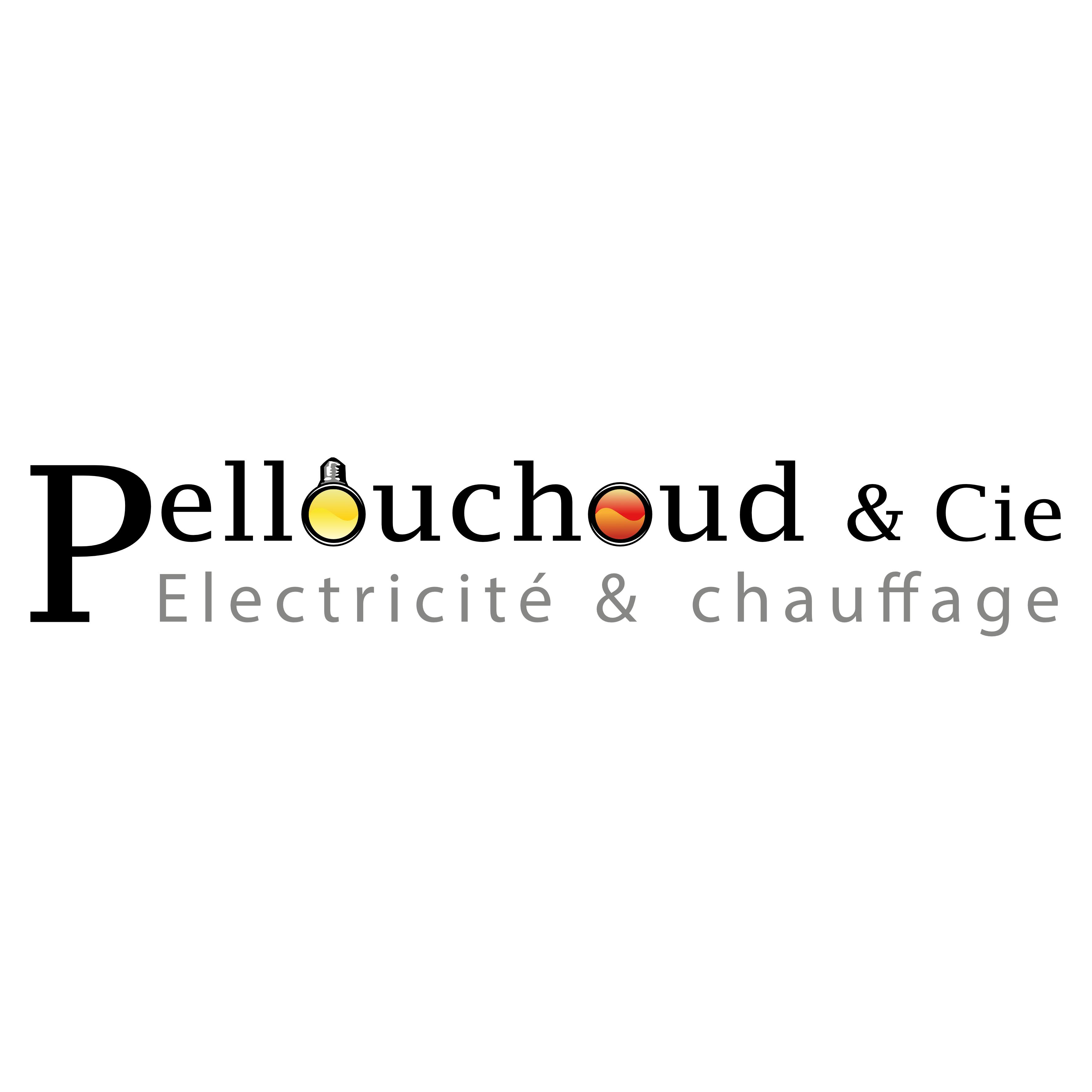 Pellouchoud & Cie Electricité - Chauffage