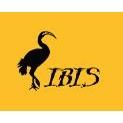 IBIS Interkulturelle Arbeitsstelle e. V.