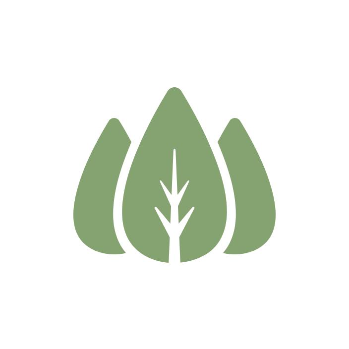 Washut Family Dentistry