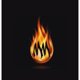 Midnight Madness Fireworks