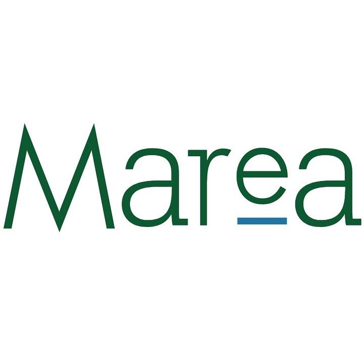 Marea