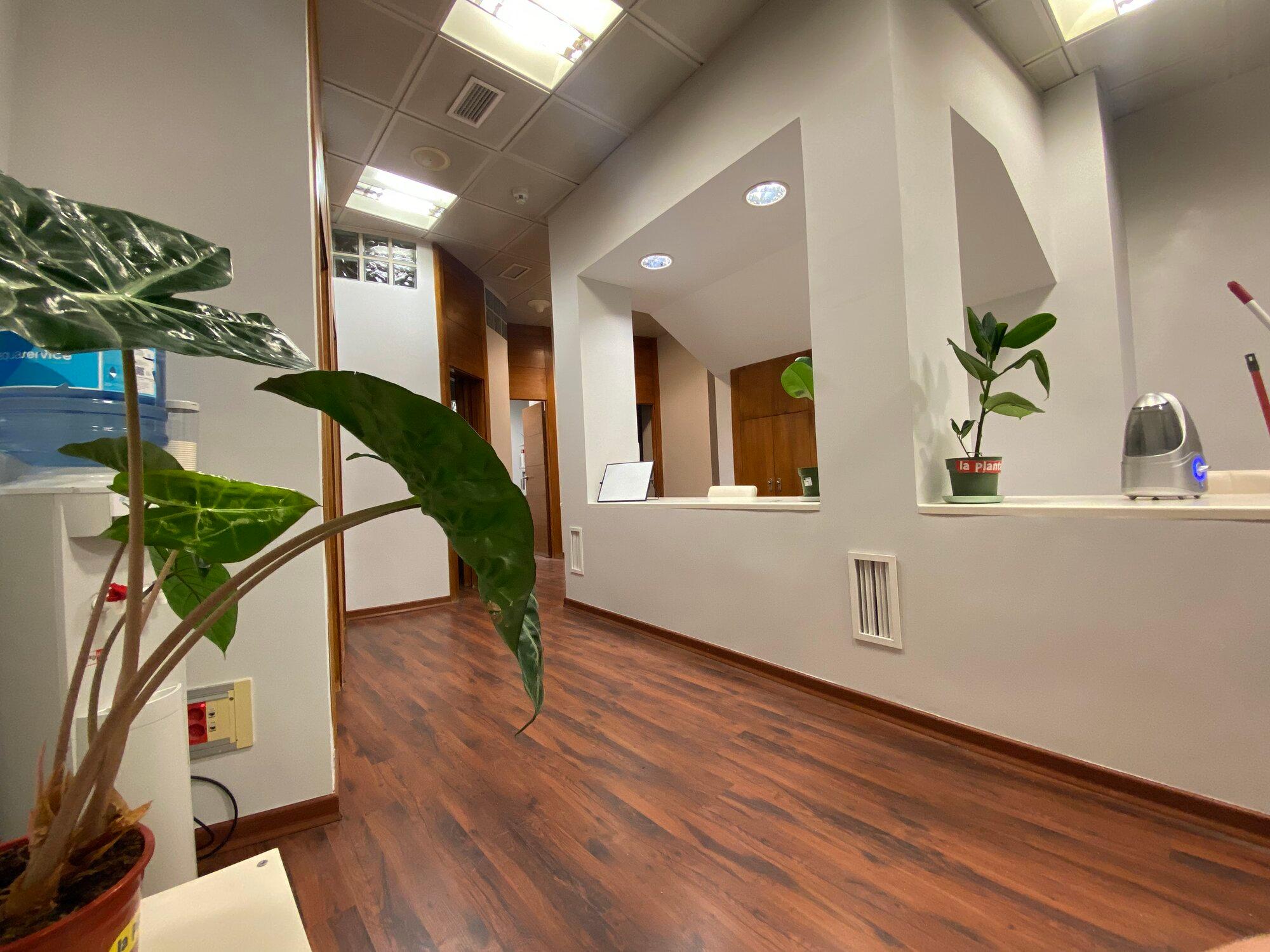 FÉNIX ACADEMY Spanish language school