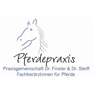 Pferdepraxis Dr. Steiff