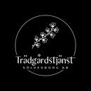 Trädgårdstjänst Sölvesborg AB (Hemstäd, flyttstäd & fönsterputs)