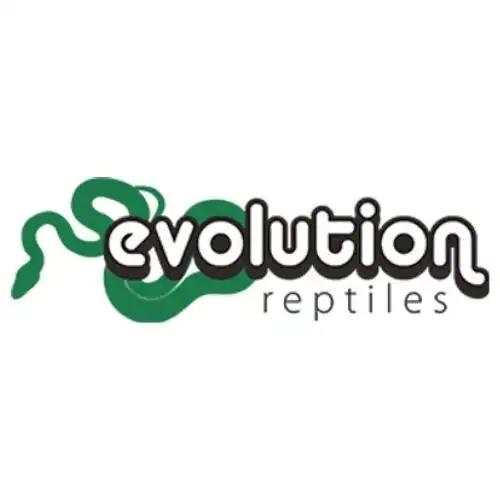 Evolution Reptiles
