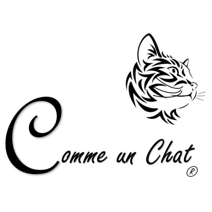 Comme Un Chat