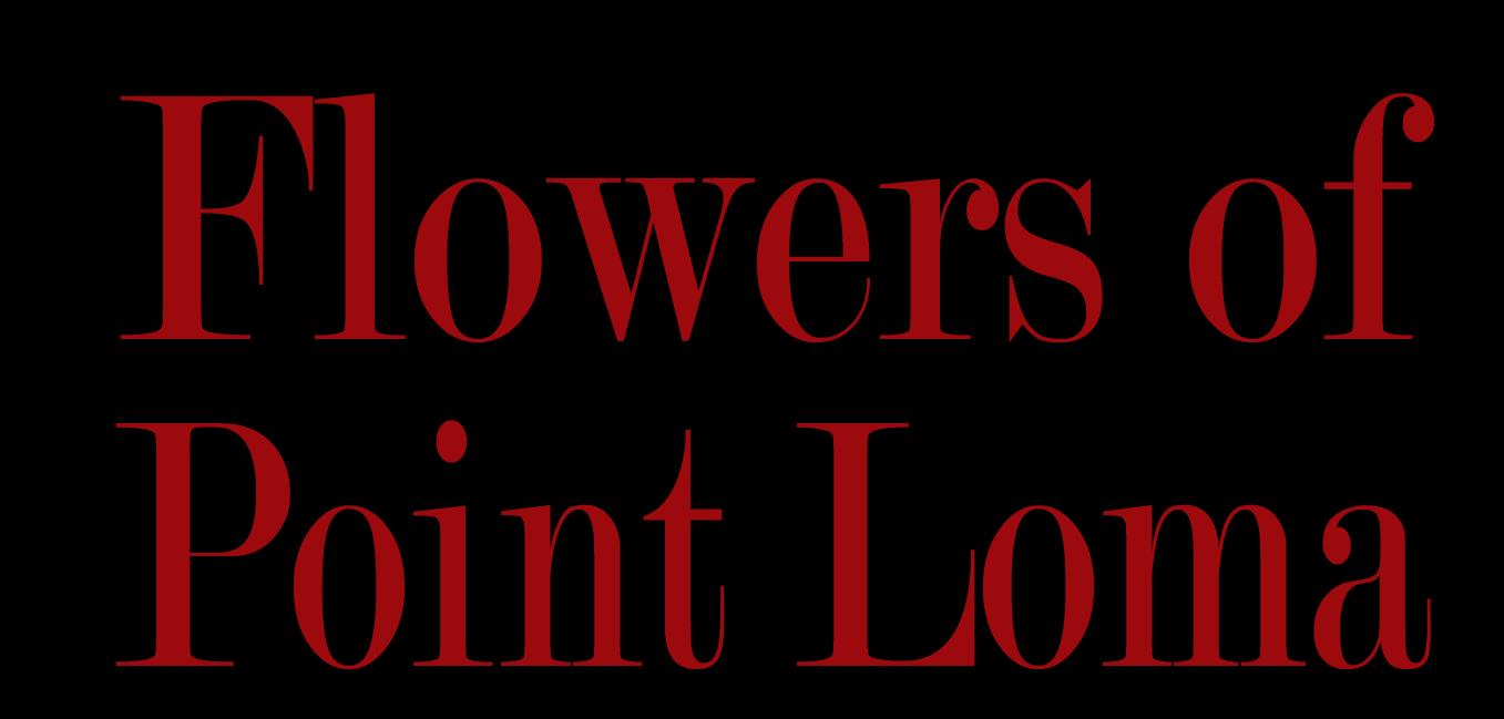 Flowers Of Point Loma