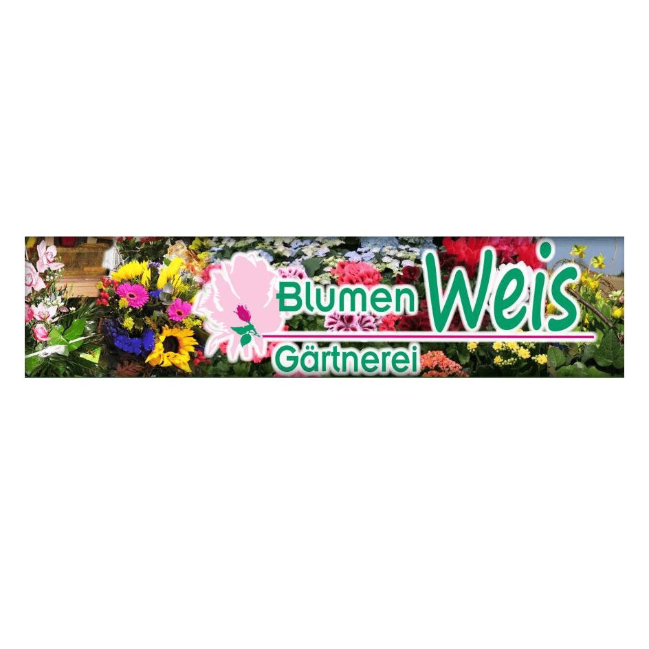 Blumen Weis