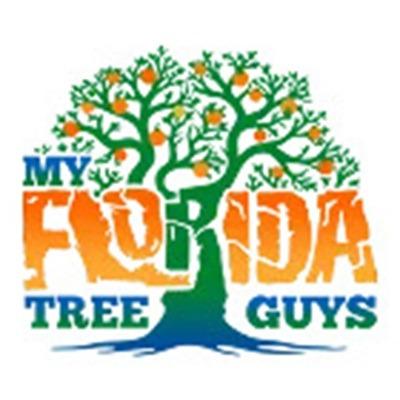 My Florida Tree Guys