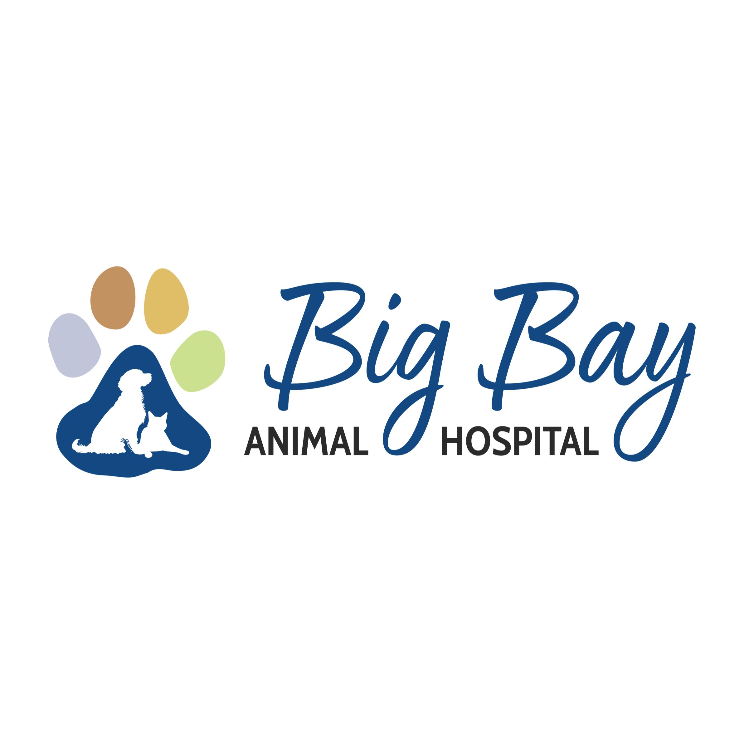 Big Bay Animal Hospital