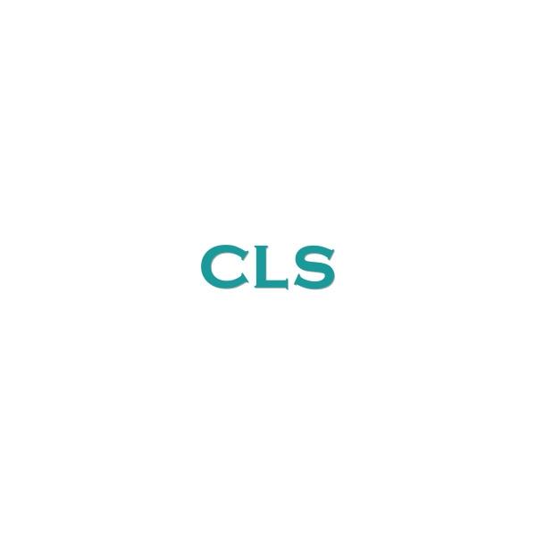 CLS - Sicherheitsmanagement