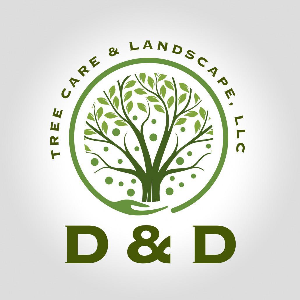 D & D tree Care and Landscape LLC