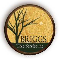 Briggs Tree Services