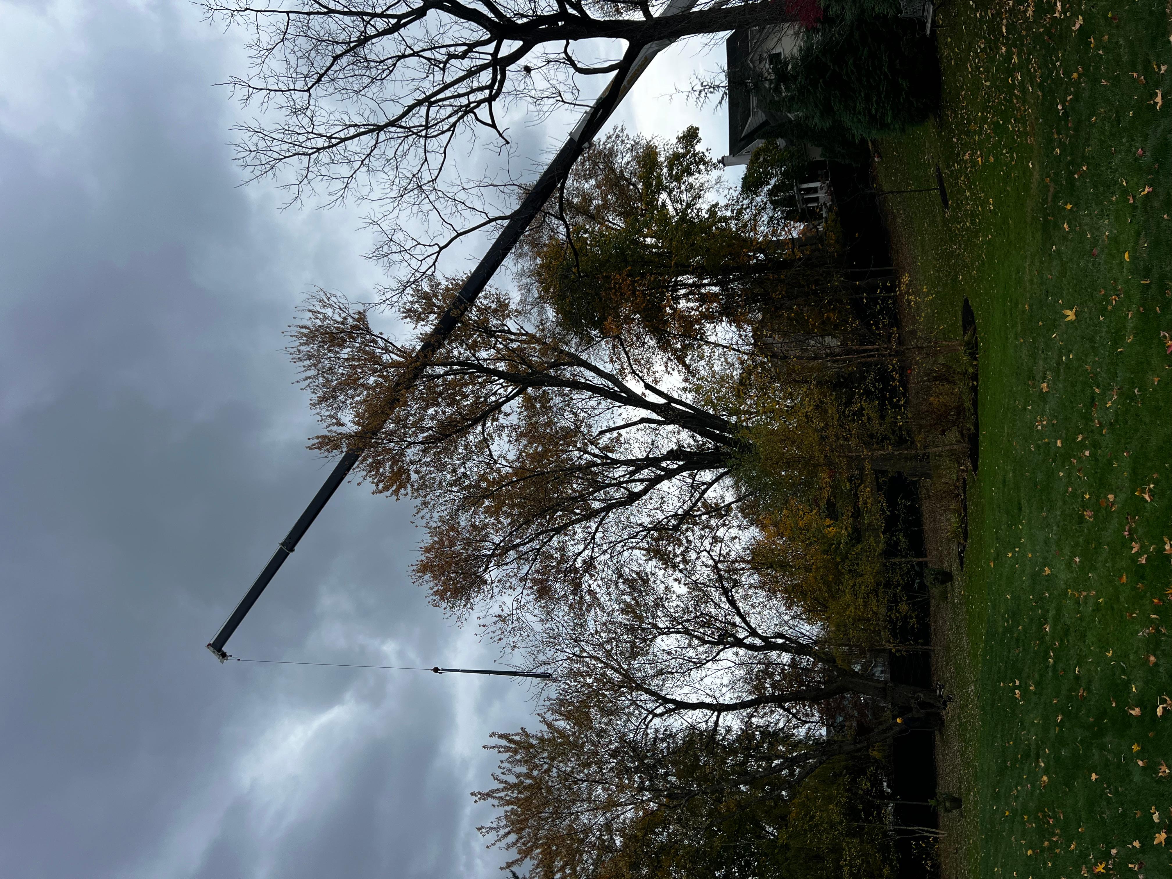 Second Nature Tree LLC