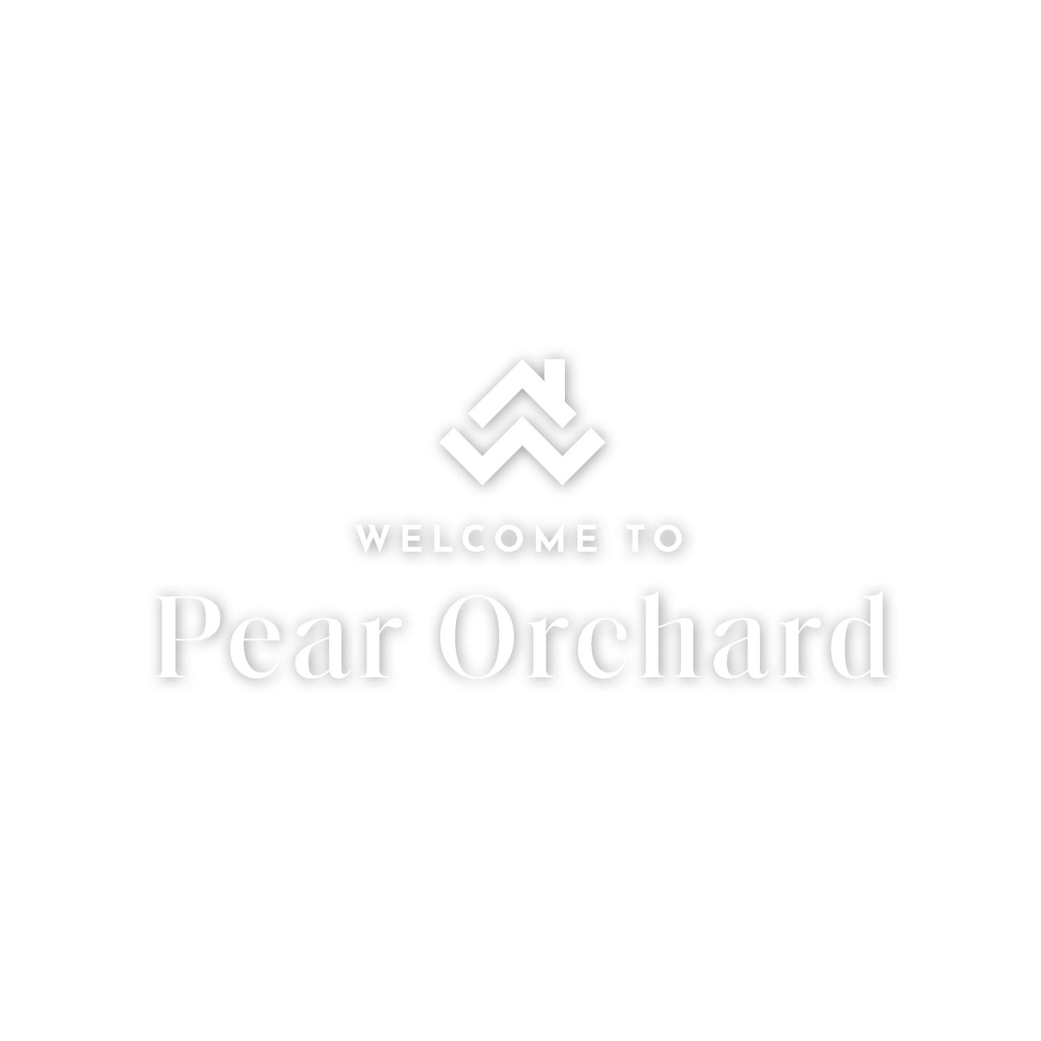 Pear Orchard