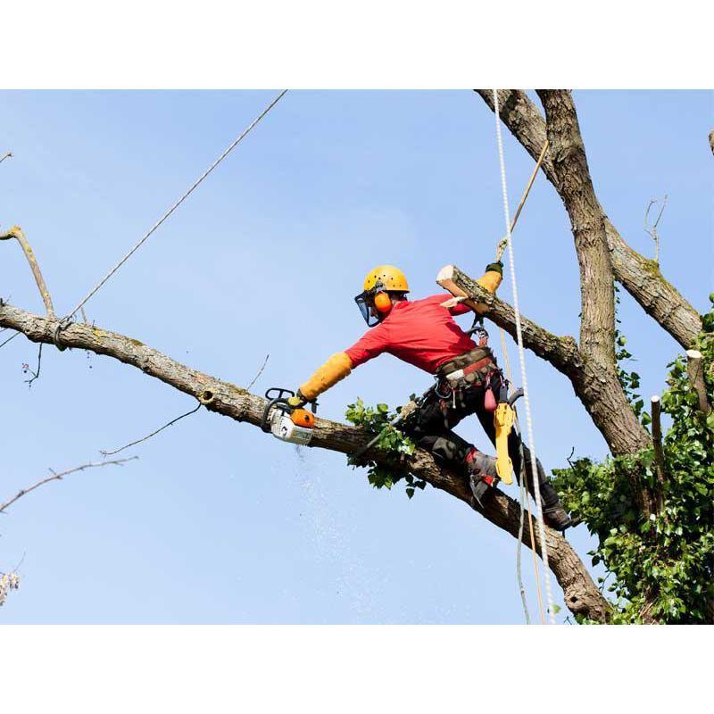 Affordable Tree Service LLC