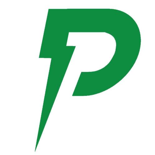 Premier Energy Solutions Inc