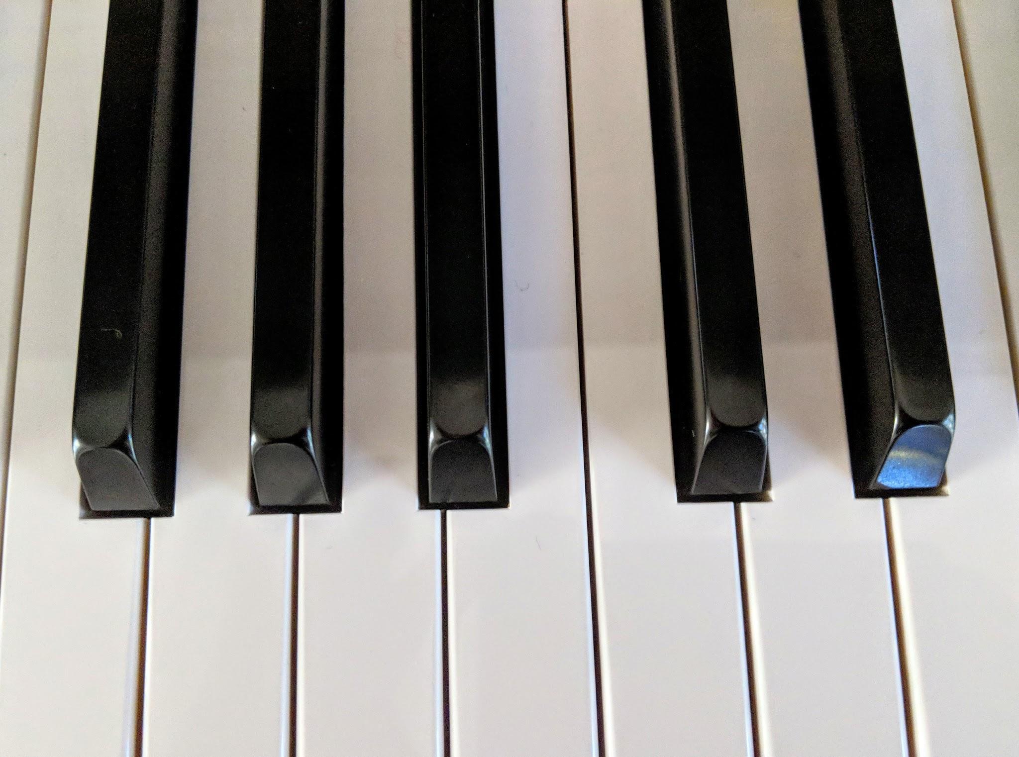 Piano Forte Music School