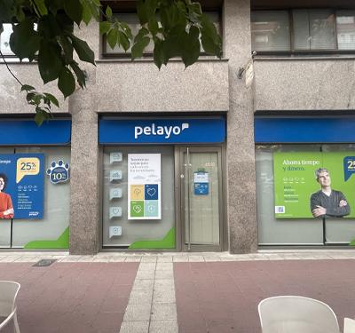 Oficina Seguros Pelayo