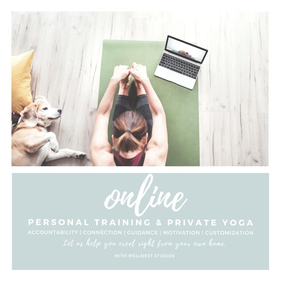 WellNest Studios Fitness & Wellness
