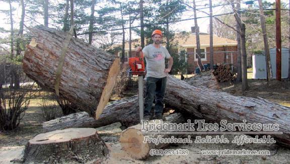 Pridemark Tree Services, LLC