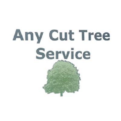 Any Cut Tree Service