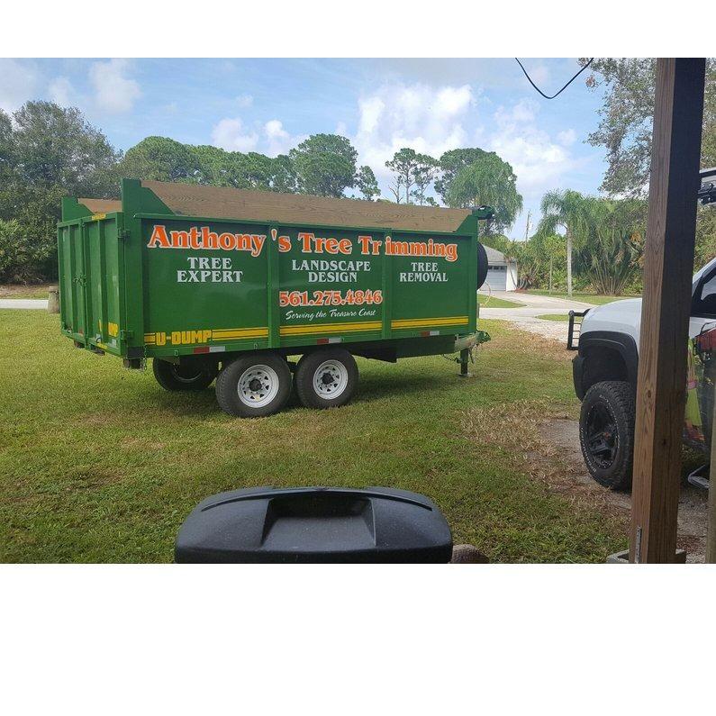 Anthonys Tree Trimming