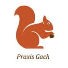 HPP Praxis Gach MPU-Beratung