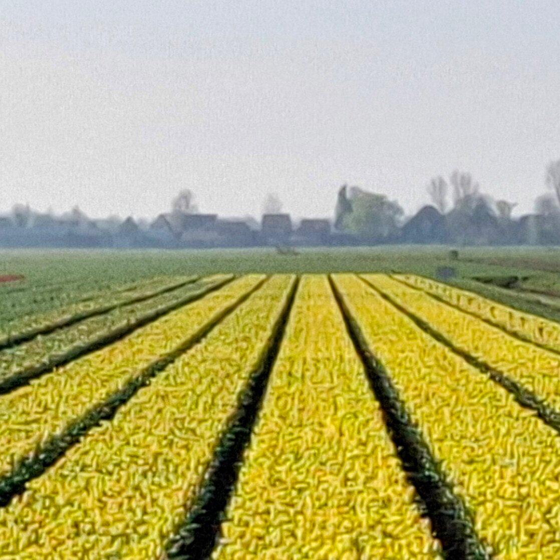 Car History Info & Morgan History Info