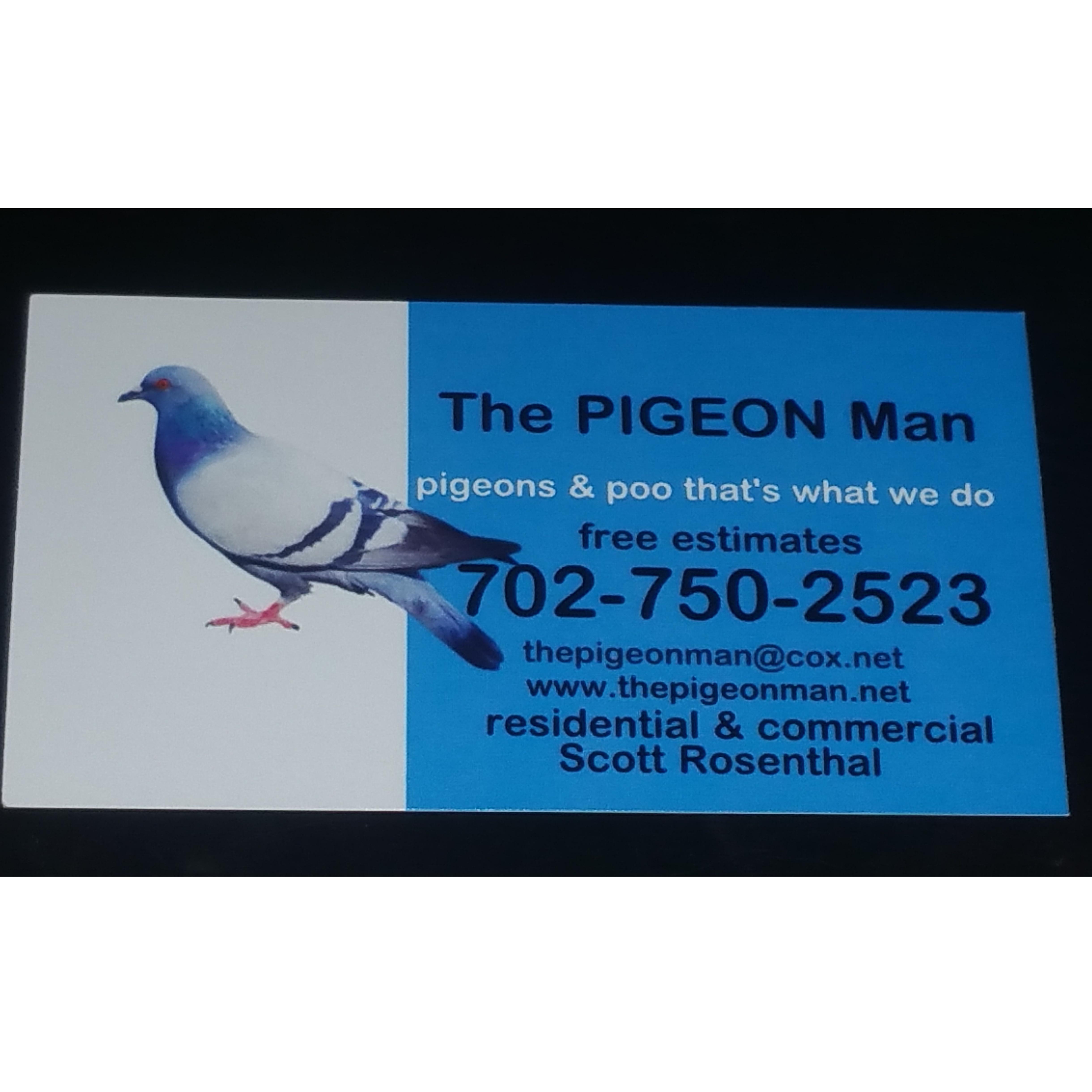 The Pigeon Man