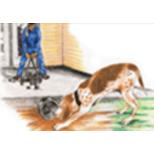 Stilwell P W Plumbing & Heating