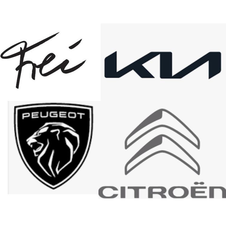 Frei Bahnhof-Garage AG