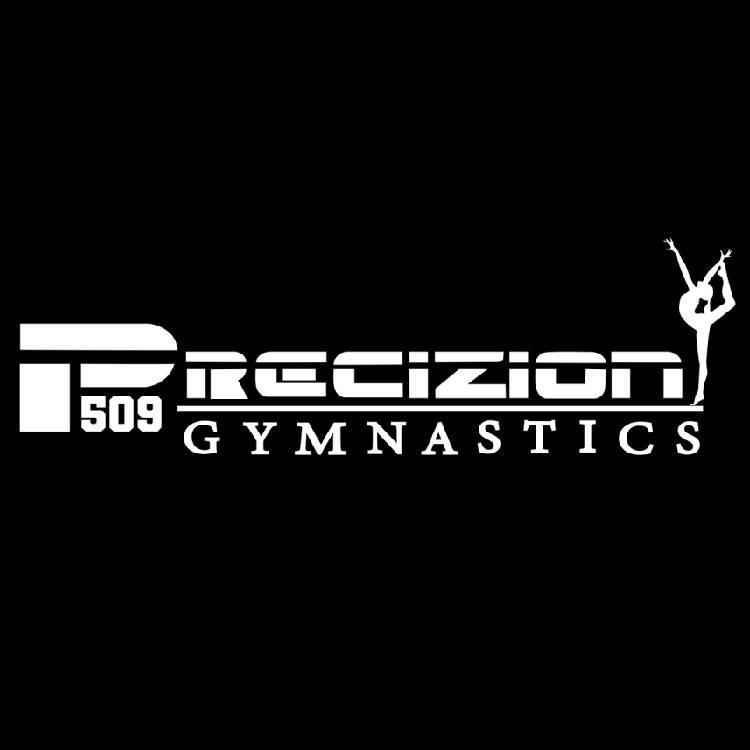 Precizion 509 Gymnastics