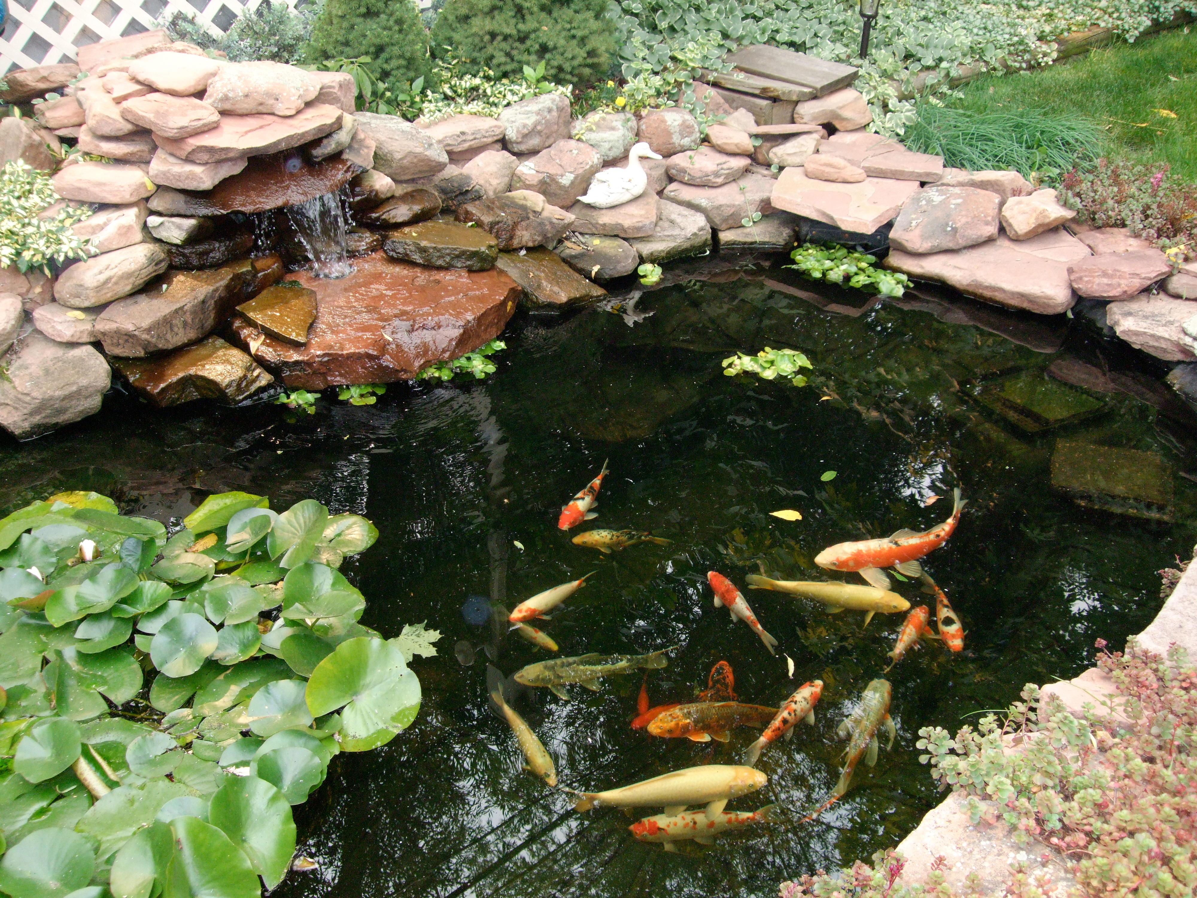 Gazing Unlimited Ent., Inc. (complete mobile service)