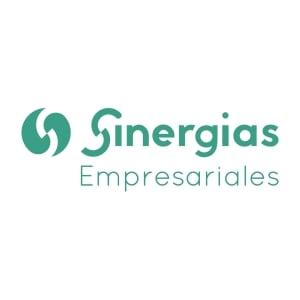 Eurosinergias Empresariales, S. L. (Sinergias Empresariales - Consultoría))