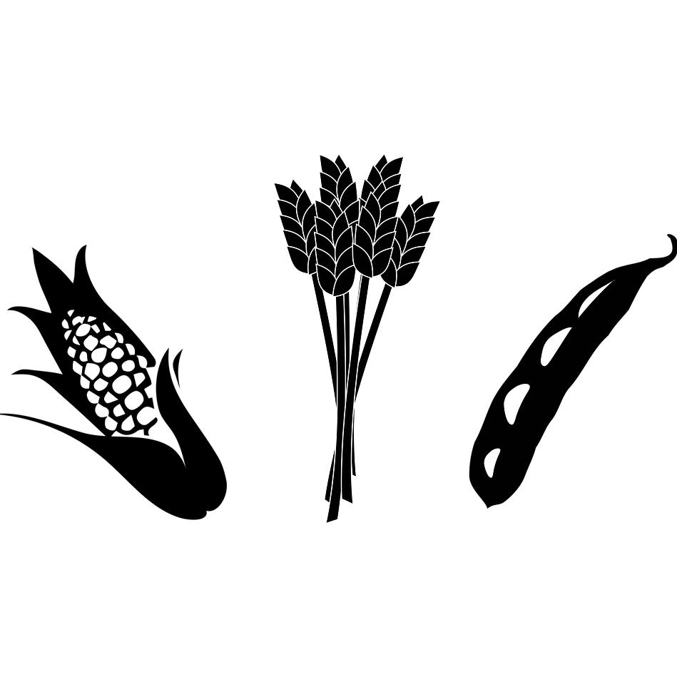 Frankel Farms Partnership