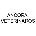 Ancora Veterinaros