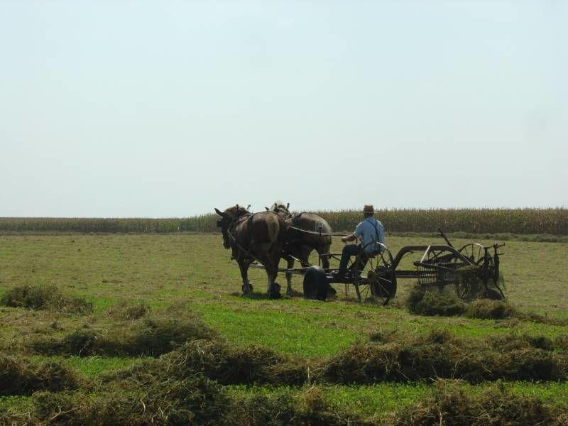 Amish Adventures & Stellar Tours, Inc.