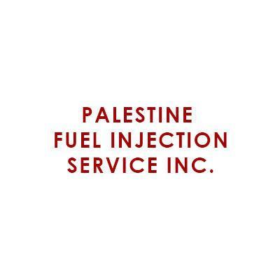 Palestine Fuel Injection