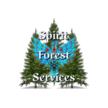Spirit Forest Services