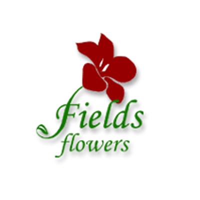 Fields Flowers