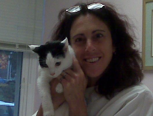 Cat Care Clinic of The Nyacks