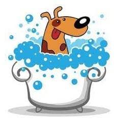 Hundepflege Salon Fein-Gemacht