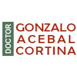 Dr. Gonzalo Acebal Cortina